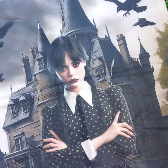 Housse de coussin wednesday mercredi de la famille Addams Jena ortega - photo numéro 2