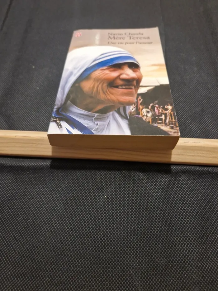 Mere teresa : Une vie pour l'amour - photo numéro 2