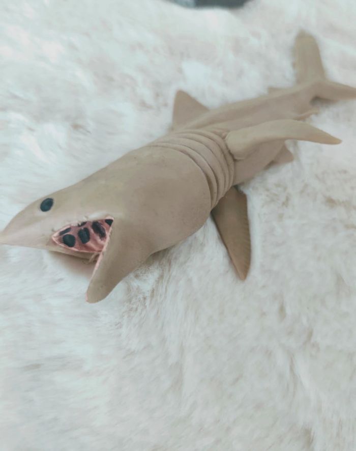 Animaux - photo numéro 2