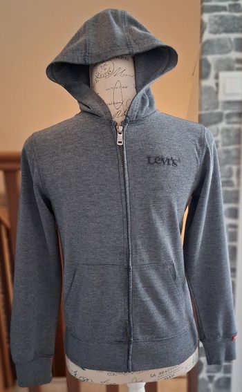 Veste zippée grise à capuche