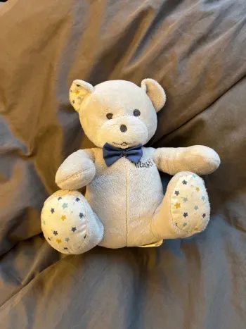 Ourson en peluche