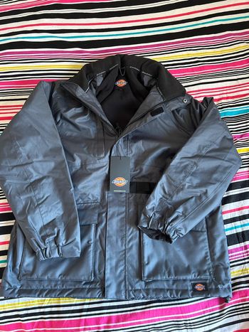 Parka Dickies Homme - Taille XL, Gris