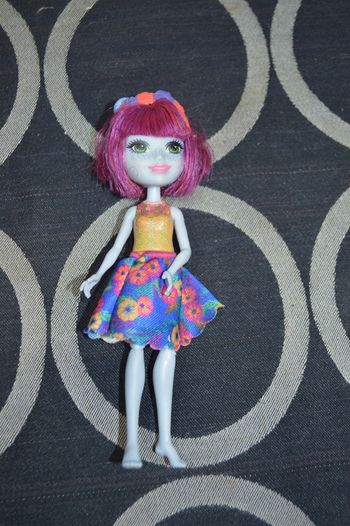 Poupée Enchantimals