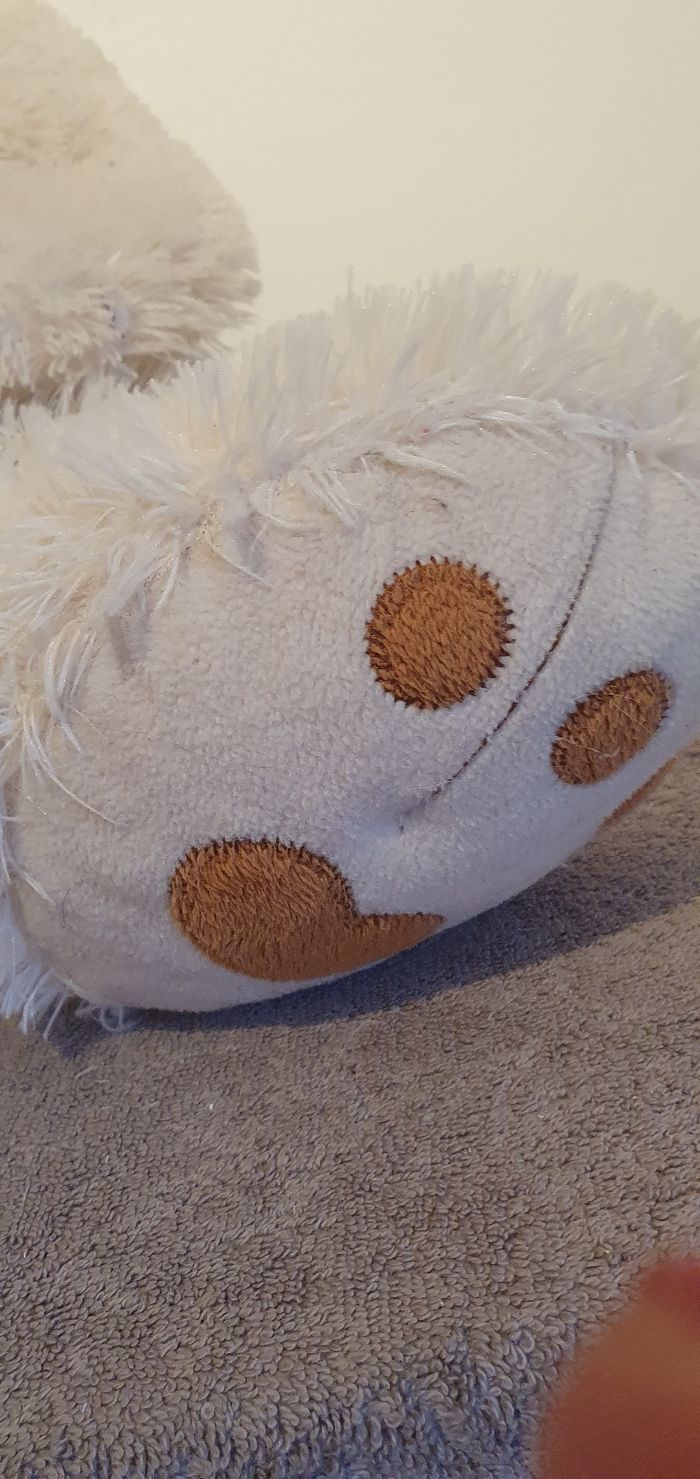 Gros nounours - photo numéro 3