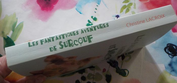 Les fantastiques aventures de Surcouf de Christine Lacroix Ed. France Loisirs - photo numéro 3