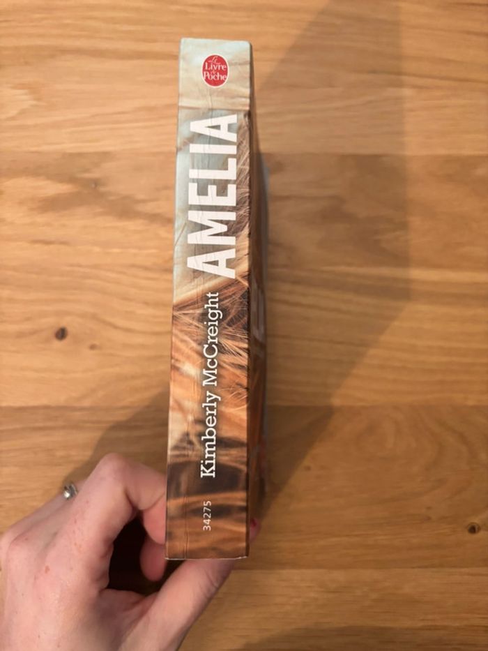 Livre Amélia - photo numéro 3