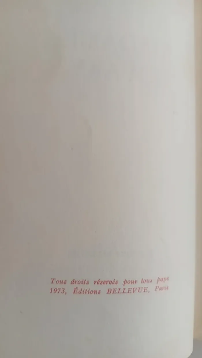 livre madame bovary - photo numéro 3