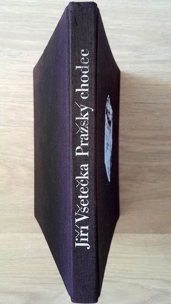 un passant ce Prague (tchèque) - jiri vsetecka prazsky chodec