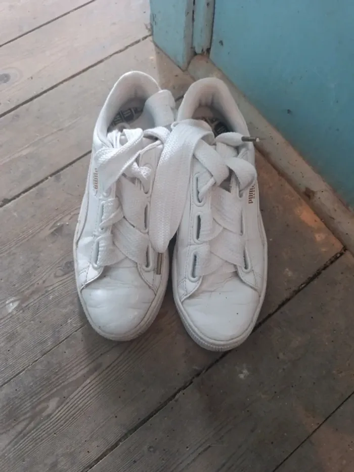 Basket puma