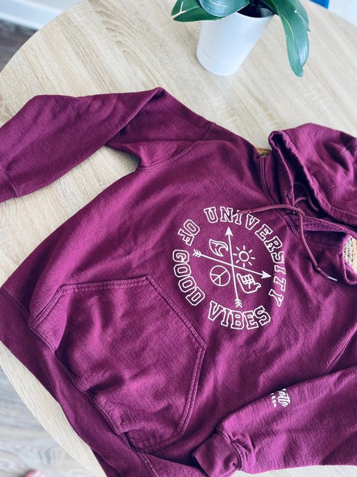 Sweat à capuche - photo numéro 2