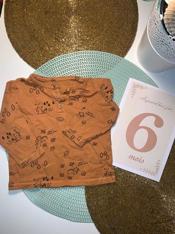 T-shirt manches longues 6 mois pat et ripaton excellent état