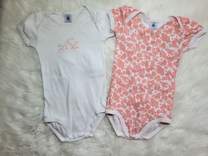 Lot 2 bodies 24m