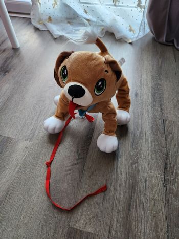 Chien a tirer les toufous