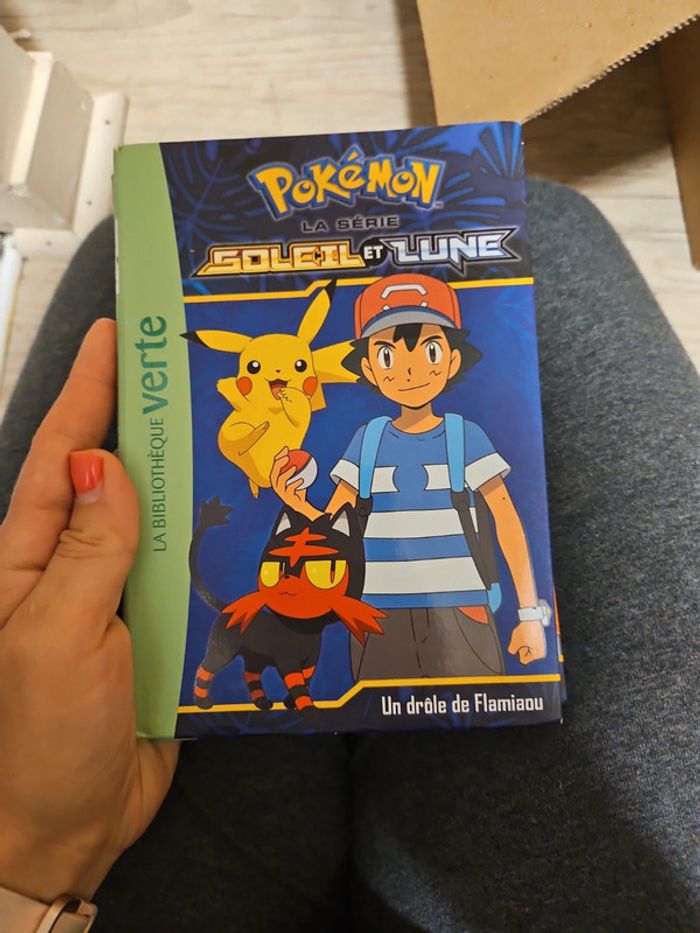 Livre pokemon - photo numéro 1
