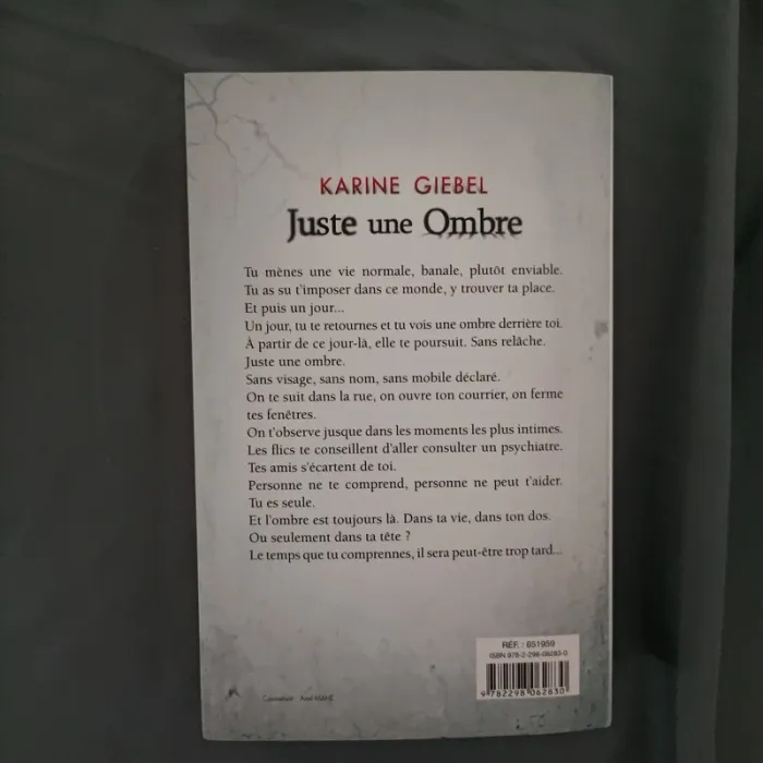 Juste une ombre de Karine giebel - photo numéro 2