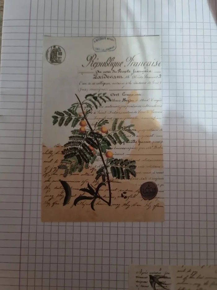 Divers papier scrap (lot C) - photo numéro 6