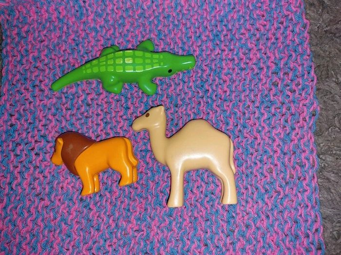 Lion, dromadaire et crocodile