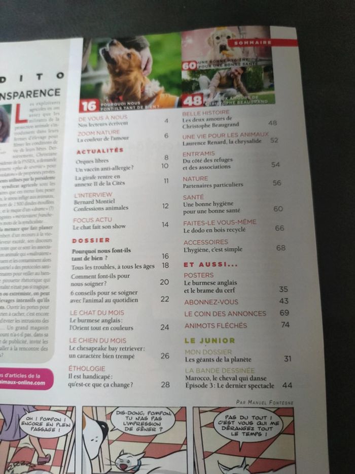 Magazine 30 millions d'amis numéro 377 octobre 2019 - photo numéro 3
