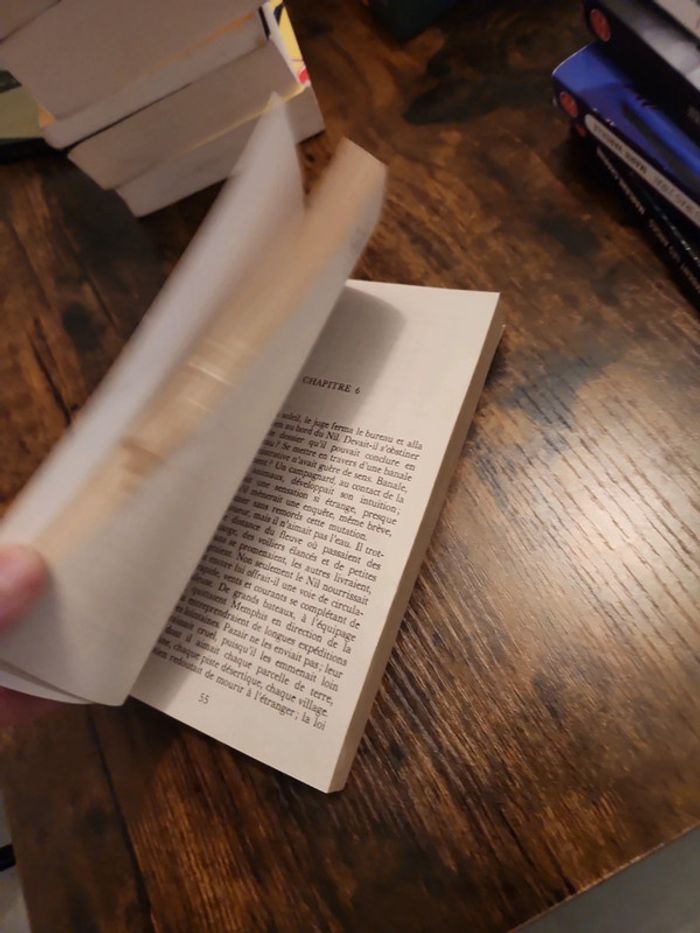 Livre : La pyramide assassinée - photo numéro 6