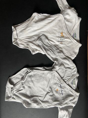 Lot 2 bodies