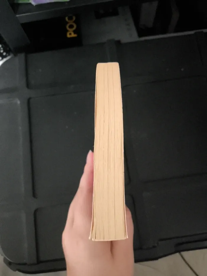 Livre détective du temps - photo numéro 5