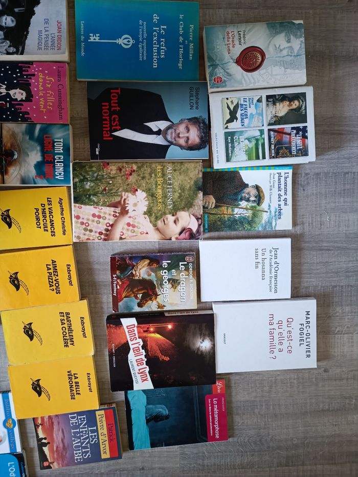 Lot de 27 livres - photo numéro 2