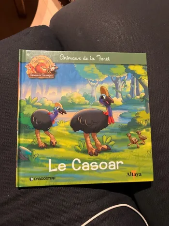 Livre pour enfants altaya le casoar