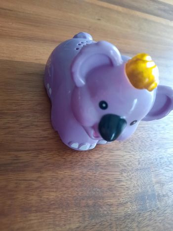 Koala ronfleur