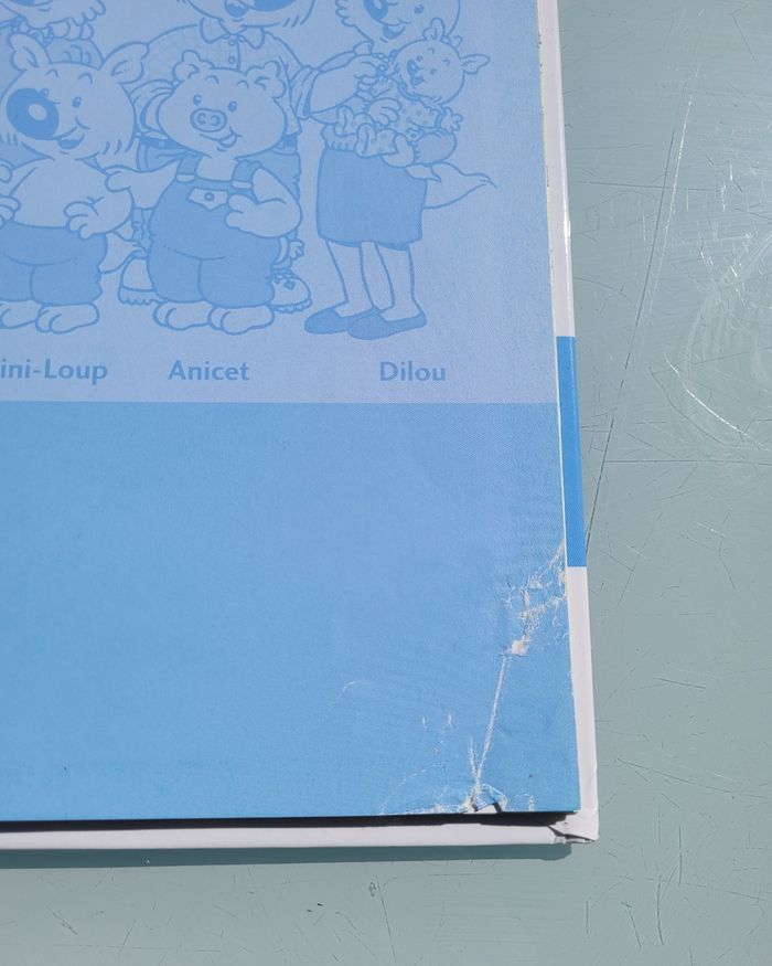 Livre Mini-Loup, tome 11 🏥 Mini-loup à l'hôpital 🏥 - photo numéro 3