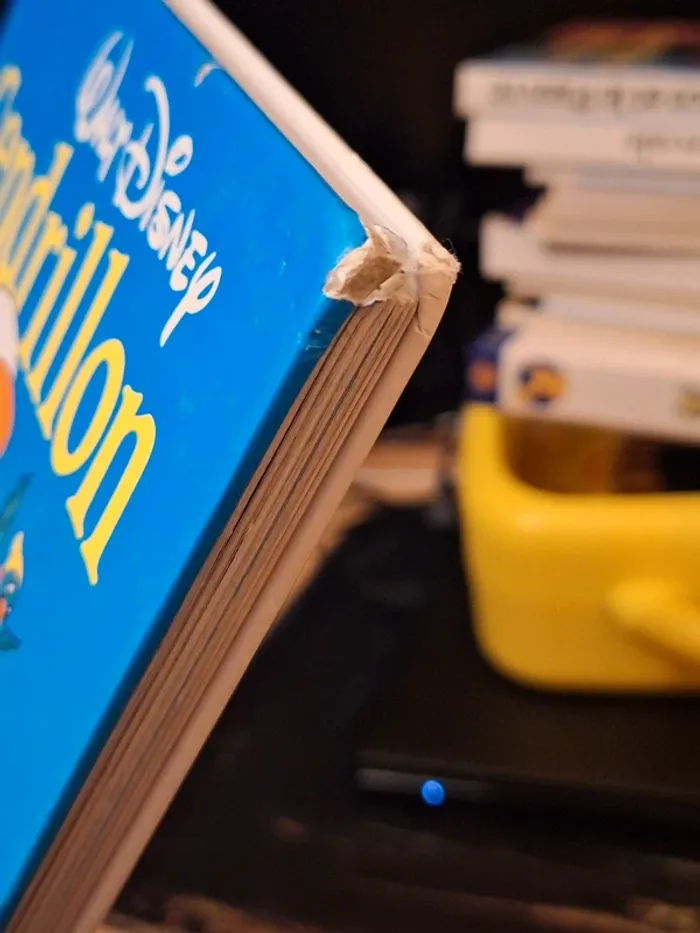 cendrillon - photo numéro 8