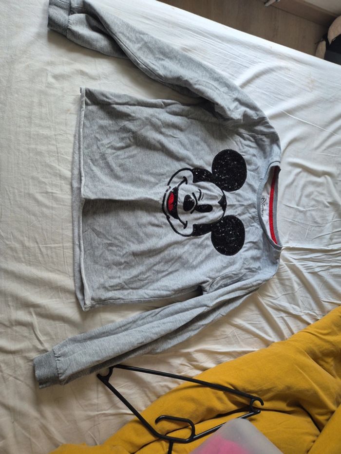 Pull fin mickey