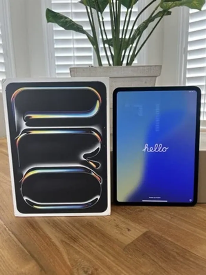 Apple iPad Pro 11 pouces (M4) A2836 256 Go, Wi-Fi, 11 pouces - Noir sidéral en parfait état