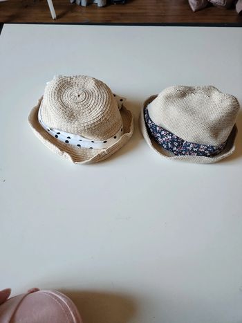 Lot 2 chapeau de paille