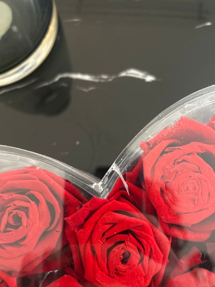 Madame veut des roses - photo numéro 2