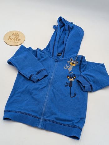Gilet