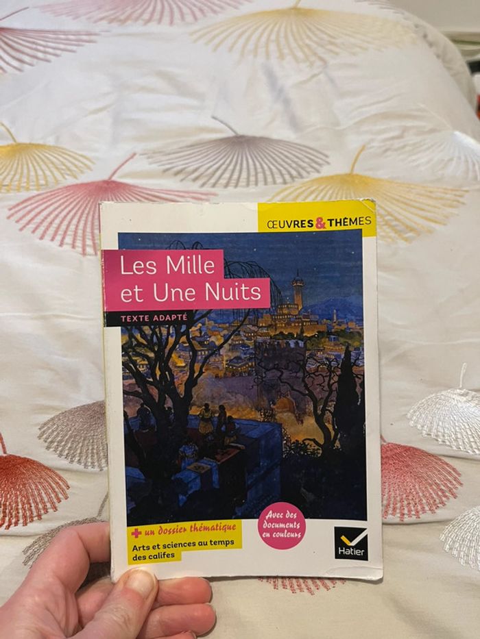 Livre Les Mille et Une Nuits