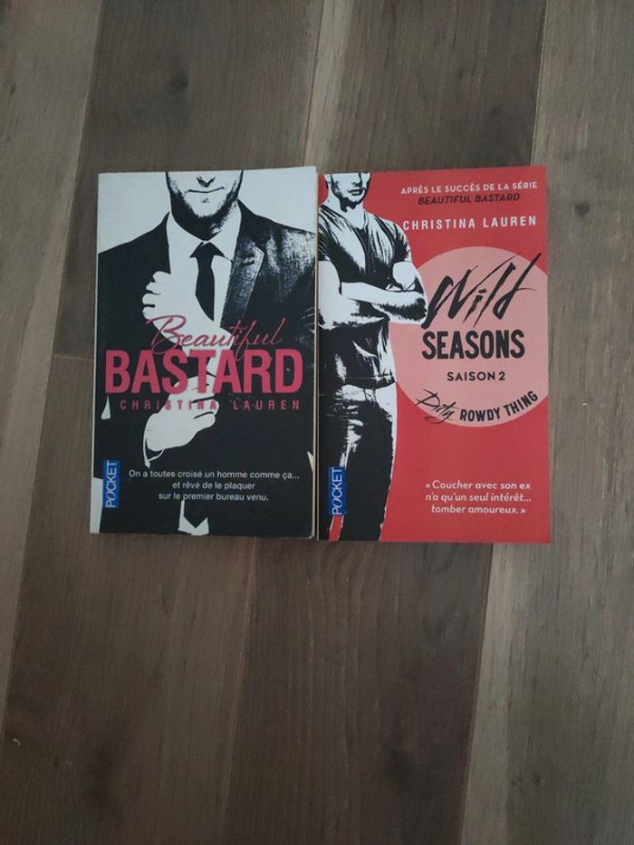 Lot de 2 livres bastard et dirty rowdy thing