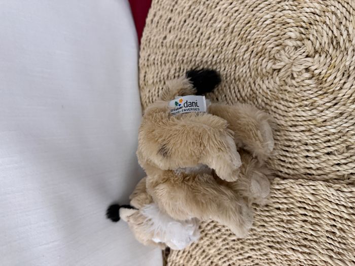 Peluche chat sauvage lynx DANI - photo numéro 4