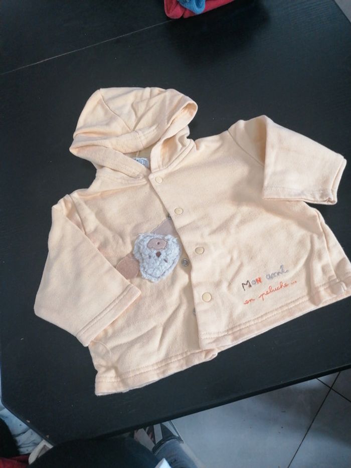 Gilet 6 mois absorba