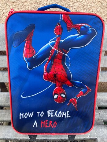 Valise Spiderman