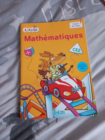 Fichier de mathématiques ce2 Litchi neuf