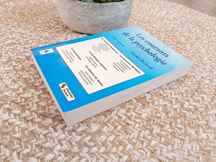 Les courants de la psychologie - photo numéro 5