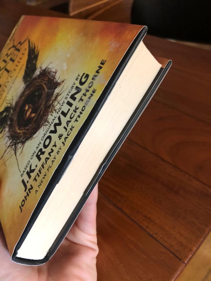 Harry Potter and the cursed child - photo numéro 3
