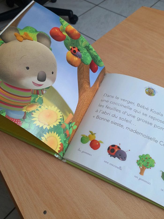 Bébé Koala - photo numéro 17