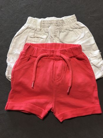 Lot 2 shorts