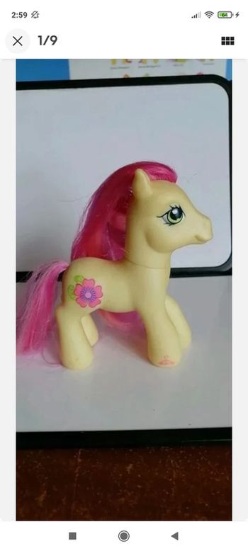 My little Pony g3 royal bouquet II