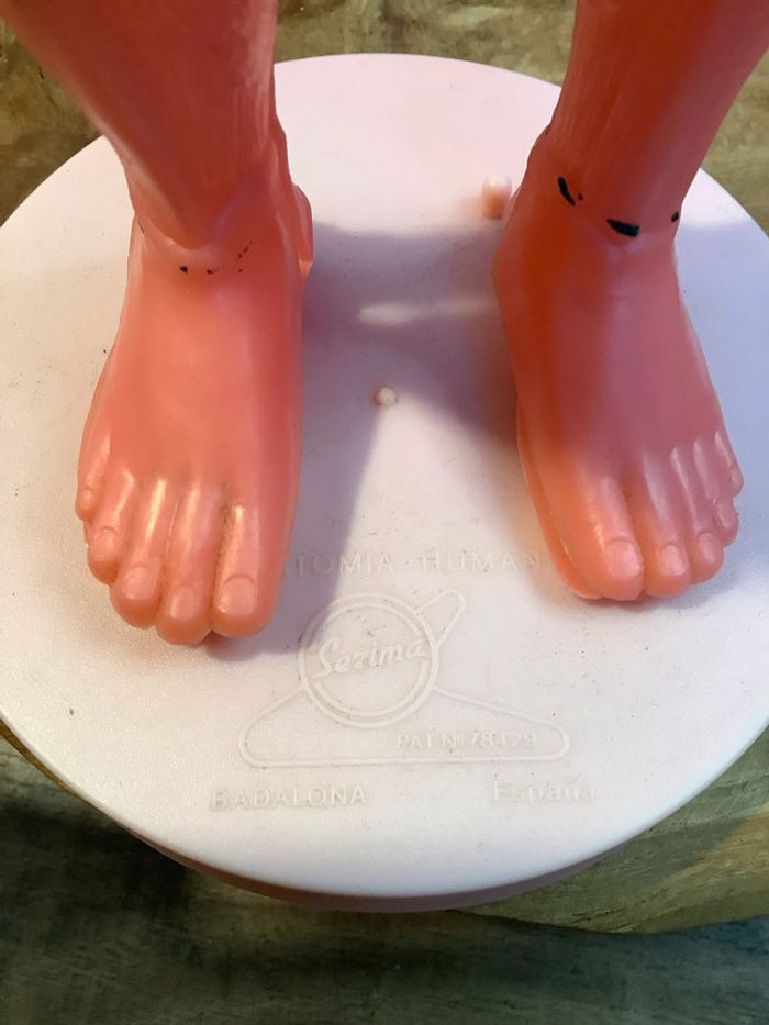 Figurine et livre sur le corps humain - photo numéro 7