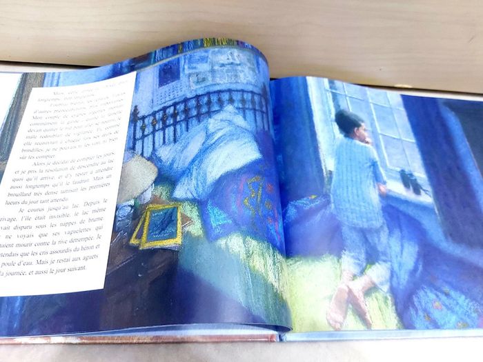 📕 Livre : Le cygne argenté - photo numéro 3