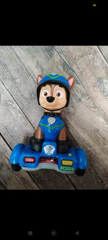 Overboard chase pat patrouille