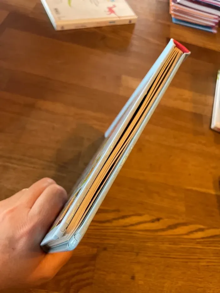 Livre cartonné contes et comptines à toucher Un petit cochon pendu au plafond - photo numéro 6